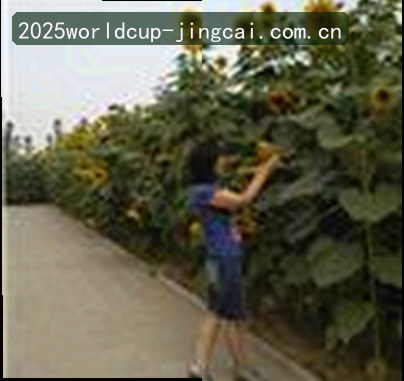 林悦